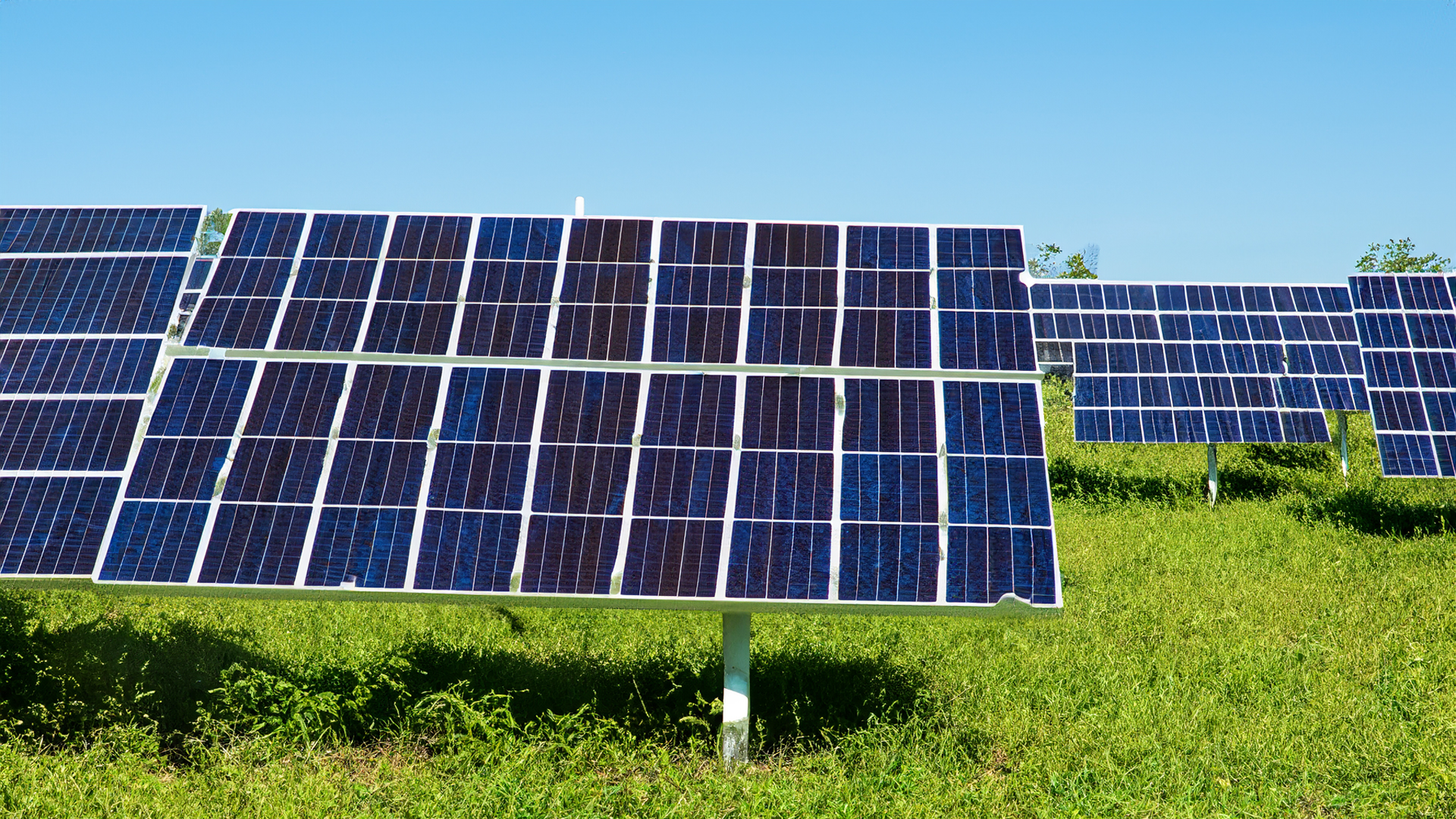 Energia Fotovoltaica en la agricultura